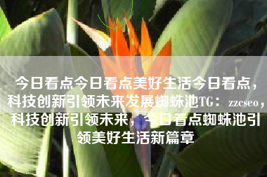 今日看点今日看点美好生活今日看点，科技创新引领未来发展蜘蛛池TG：zzcseo，科技创新引领未来，今日看点蜘蛛池引领美好生活新篇章