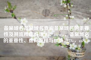 备案域名备案域名查询备案域名的重要性及其流程蜘蛛池TG：zzcseo，备案域名的重要性、查询流程与蜘蛛池TG，zzcseo