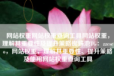 网站权重网站权重查询工具网站权重，理解其重要性及提升策略蜘蛛池TG：zzcseo，网站权重，理解其重要性、提升策略及使用网站权重查询工具