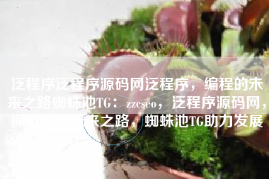 泛程序泛程序源码网泛程序，编程的未来之路蜘蛛池TG：zzcseo，泛程序源码网，探索编程未来之路，蜘蛛池TG助力发展