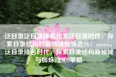 泛目录泛目录排名代发泛目录时代，探索目录结构的新领域蜘蛛池TG：zzcseo，泛目录排名时代，探索目录结构新领域与蜘蛛池SEO策略