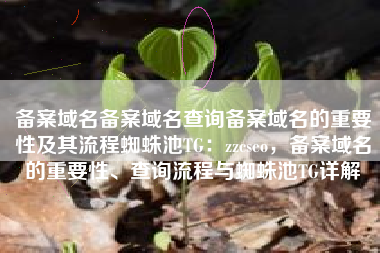 备案域名备案域名查询备案域名的重要性及其流程蜘蛛池TG：zzcseo，备案域名的重要性、查询流程与蜘蛛池TG详解