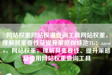 网站权重网站权重查询工具网站权重，理解其重要性及提升策略蜘蛛池TG：zzcseo，网站权重，理解其重要性、提升策略及使用网站权重查询工具