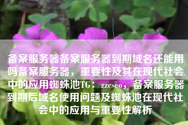 备案服务器备案服务器到期域名还能用吗备案服务器，重要性及其在现代社会中的应用蜘蛛池TG：zzcseo，备案服务器到期后域名使用问题及蜘蛛池在现代社会中的应用与重要性解析