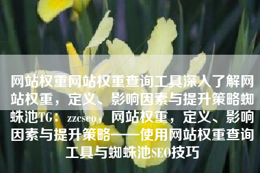 网站权重网站权重查询工具深入了解网站权重，定义、影响因素与提升策略蜘蛛池TG：zzcseo，网站权重，定义、影响因素与提升策略——使用网站权重查询工具与蜘蛛池SEO技巧