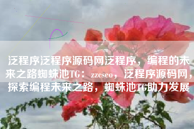 泛程序泛程序源码网泛程序，编程的未来之路蜘蛛池TG：zzcseo，泛程序源码网，探索编程未来之路，蜘蛛池TG助力发展