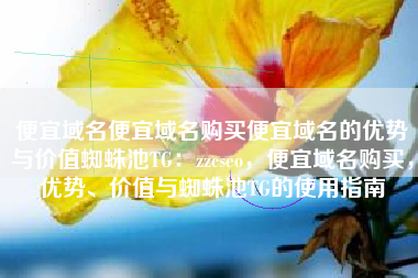 便宜域名便宜域名购买便宜域名的优势与价值蜘蛛池TG：zzcseo，便宜域名购买，优势、价值与蜘蛛池TG的使用指南