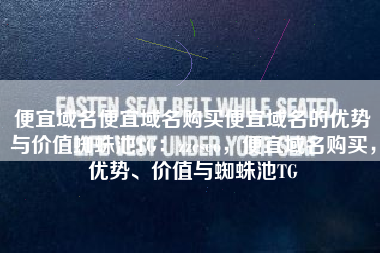 便宜域名便宜域名购买便宜域名的优势与价值蜘蛛池TG：zzcseo，便宜域名购买，优势、价值与蜘蛛池TG
