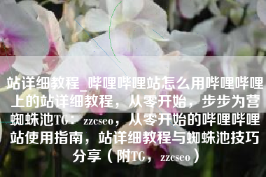 站详细教程_哔哩哔哩站怎么用哔哩哔哩上的站详细教程，从零开始，步步为营蜘蛛池TG：zzcseo，从零开始的哔哩哔哩站使用指南，站详细教程与蜘蛛池技巧分享（附TG，zzcseo）