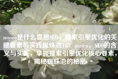 seoseo是什么意思SEO，搜索引擎优化的关键要素与实践蜘蛛池TG：zzcseo，SEO的含义与实践，掌握搜索引擎优化核心要素，揭秘蜘蛛池的秘密