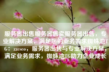 服务器出售服务器售卖服务器出售，专业解决方案，满足您的业务需求蜘蛛池TG：zzcseo，服务器出售与专业解决方案，满足业务需求，蜘蛛池TG助力企业成长