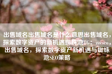 出售域名出售域名是什么意思出售域名，探索数字资产的新机遇蜘蛛池TG：zzcseo，出售域名，探索数字资产新机遇与蜘蛛池SEO策略