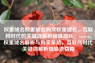 权重域名权重域名购买权重域名，互联网时代的关键词解析蜘蛛池TG：zzcseo，权重域名解析与购买策略，互联网时代关键词解析蜘蛛池指南