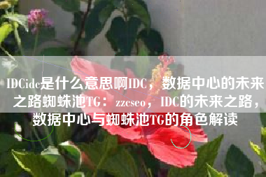 IDCidc是什么意思啊IDC，数据中心的未来之路蜘蛛池TG：zzcseo，IDC的未来之路，数据中心与蜘蛛池TG的角色解读