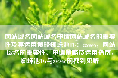 网站域名网站域名申请网站域名的重要性及其运用策略蜘蛛池TG：zzcseo，网站域名的重要性、申请策略及运用指南，蜘蛛池TG与zzcseo的独到见解