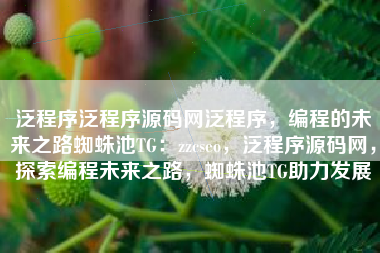 泛程序泛程序源码网泛程序，编程的未来之路蜘蛛池TG：zzcseo，泛程序源码网，探索编程未来之路，蜘蛛池TG助力发展