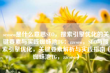 seoseo是什么意思SEO，搜索引擎优化的关键要素与实践蜘蛛池TG：zzcseo，SEO与搜索引擎优化，关键要素解析与实践指南（蜘蛛池TG，zzcseo）
