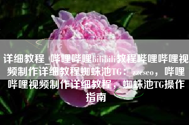 详细教程_哔哩哔哩bilibili教程哔哩哔哩视频制作详细教程蜘蛛池TG：zzcseo，哔哩哔哩视频制作详细教程，蜘蛛池TG操作指南