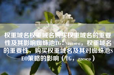 权重域名权重域名购买权重域名的重要性及其影响蜘蛛池TG：zzcseo，权重域名的重要性，购买权重域名及其对蜘蛛池SEO策略的影响（TG，zzcseo）