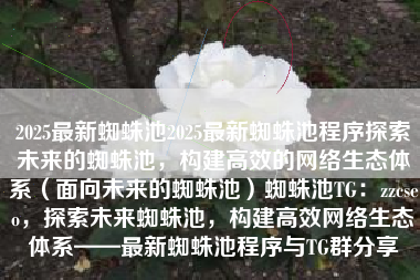 2025最新蜘蛛池2025最新蜘蛛池程序探索未来的蜘蛛池，构建高效的网络生态体系（面向未来的蜘蛛池）蜘蛛池TG：zzcseo，探索未来蜘蛛池，构建高效网络生态体系——最新蜘蛛池程序与TG群分享
