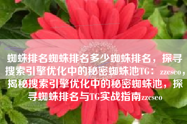蜘蛛排名蜘蛛排名多少蜘蛛排名，探寻搜索引擎优化中的秘密蜘蛛池TG：zzcseo，揭秘搜索引擎优化中的秘密蜘蛛池，探寻蜘蛛排名与TG实战指南zzcseo