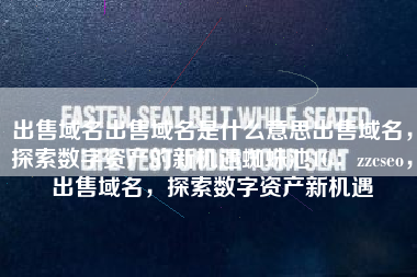 出售域名出售域名是什么意思出售域名，探索数字资产的新机遇蜘蛛池TG：zzcseo，出售域名，探索数字资产新机遇
