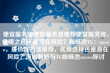 便宜服务器便宜服务器推荐便宜服务器，优质之选还是潜在风险？蜘蛛池TG：zzcseo，廉价服务器推荐，优质选择还是潜在风险？深度解析与TG蜘蛛池zzcseo探讨