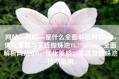 网站seo网站seo是什么全面解析网站SEO，优化策略与实践蜘蛛池TG：zzcseo，全面解析网站SEO，优化策略、实践及蜘蛛池技术指南