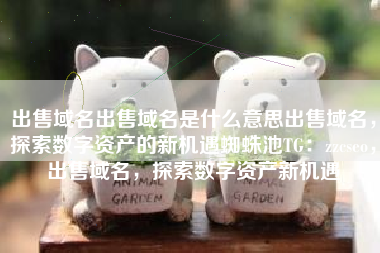 出售域名出售域名是什么意思出售域名，探索数字资产的新机遇蜘蛛池TG：zzcseo，出售域名，探索数字资产新机遇