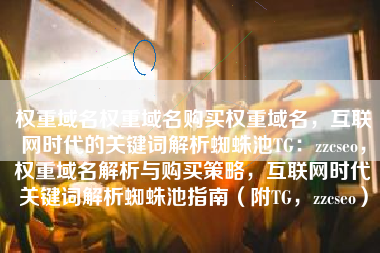 权重域名权重域名购买权重域名，互联网时代的关键词解析蜘蛛池TG：zzcseo，权重域名解析与购买策略，互联网时代关键词解析蜘蛛池指南（附TG，zzcseo）