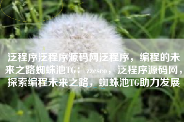 泛程序泛程序源码网泛程序，编程的未来之路蜘蛛池TG：zzcseo，泛程序源码网，探索编程未来之路，蜘蛛池TG助力发展