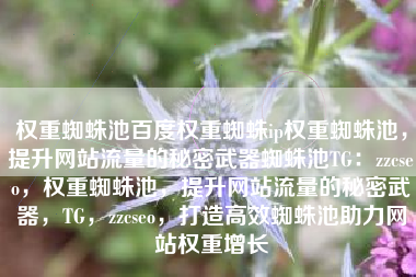 权重蜘蛛池百度权重蜘蛛ip权重蜘蛛池，提升网站流量的秘密武器蜘蛛池TG：zzcseo，权重蜘蛛池，提升网站流量的秘密武器，TG，zzcseo，打造高效蜘蛛池助力网站权重增长