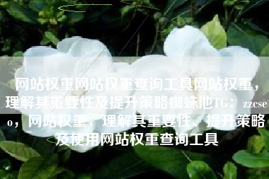 网站权重网站权重查询工具网站权重，理解其重要性及提升策略蜘蛛池TG：zzcseo，网站权重，理解其重要性、提升策略及使用网站权重查询工具