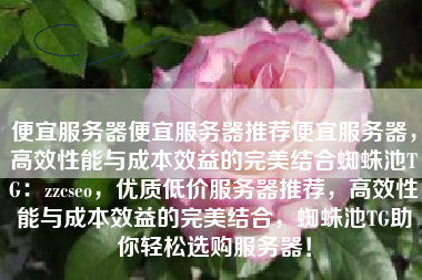 便宜服务器便宜服务器推荐便宜服务器，高效性能与成本效益的完美结合蜘蛛池TG：zzcseo，优质低价服务器推荐，高效性能与成本效益的完美结合，蜘蛛池TG助你轻松选购服务器！