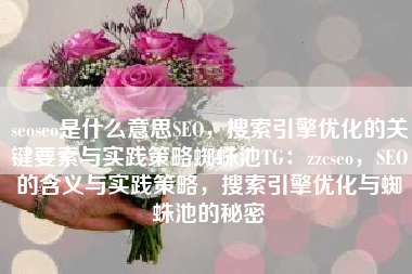 seoseo是什么意思SEO，搜索引擎优化的关键要素与实践策略蜘蛛池TG：zzcseo，SEO的含义与实践策略，搜索引擎优化与蜘蛛池的秘密