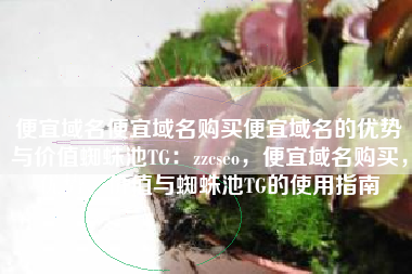 便宜域名便宜域名购买便宜域名的优势与价值蜘蛛池TG：zzcseo，便宜域名购买，优势、价值与蜘蛛池TG的使用指南