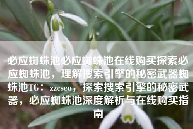 必应蜘蛛池必应蜘蛛池在线购买探索必应蜘蛛池，理解搜索引擎的秘密武器蜘蛛池TG：zzcseo，探索搜索引擎的秘密武器，必应蜘蛛池深度解析与在线购买指南