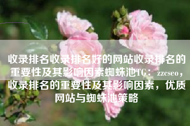 收录排名收录排名好的网站收录排名的重要性及其影响因素蜘蛛池TG：zzcseo，收录排名的重要性及其影响因素，优质网站与蜘蛛池策略