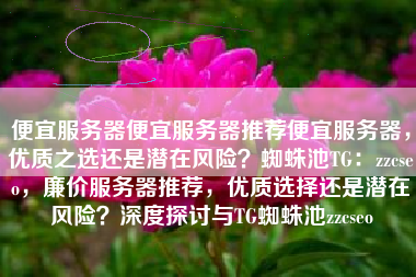 便宜服务器便宜服务器推荐便宜服务器，优质之选还是潜在风险？蜘蛛池TG：zzcseo，廉价服务器推荐，优质选择还是潜在风险？深度探讨与TG蜘蛛池zzcseo