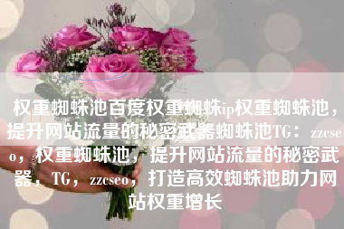 权重蜘蛛池百度权重蜘蛛ip权重蜘蛛池，提升网站流量的秘密武器蜘蛛池TG：zzcseo，权重蜘蛛池，提升网站流量的秘密武器，TG，zzcseo，打造高效蜘蛛池助力网站权重增长