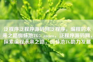 泛程序泛程序源码网泛程序，编程的未来之路蜘蛛池TG：zzcseo，泛程序源码网，探索编程未来之路，蜘蛛池TG助力发展