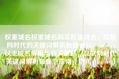 权重域名权重域名购买权重域名，互联网时代的关键词解析蜘蛛池TG：zzcseo，权重域名解析与购买策略，互联网时代关键词解析蜘蛛池指南（附TG，zzcseo）