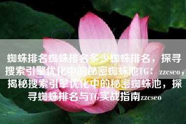 蜘蛛排名蜘蛛排名多少蜘蛛排名，探寻搜索引擎优化中的秘密蜘蛛池TG：zzcseo，揭秘搜索引擎优化中的秘密蜘蛛池，探寻蜘蛛排名与TG实战指南zzcseo