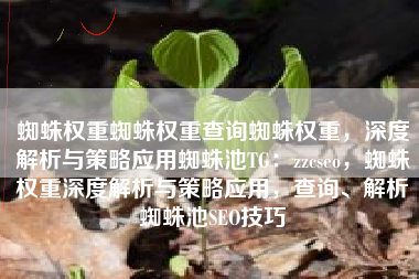 蜘蛛权重蜘蛛权重查询蜘蛛权重，深度解析与策略应用蜘蛛池TG：zzcseo，蜘蛛权重深度解析与策略应用，查询、解析蜘蛛池SEO技巧