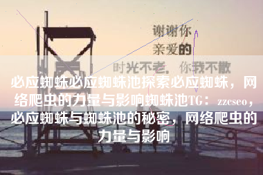 必应蜘蛛必应蜘蛛池探索必应蜘蛛，网络爬虫的力量与影响蜘蛛池TG：zzcseo，必应蜘蛛与蜘蛛池的秘密，网络爬虫的力量与影响