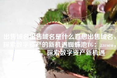 出售域名出售域名是什么意思出售域名，探索数字资产的新机遇蜘蛛池TG：zzcseo，出售域名，探索数字资产新机遇