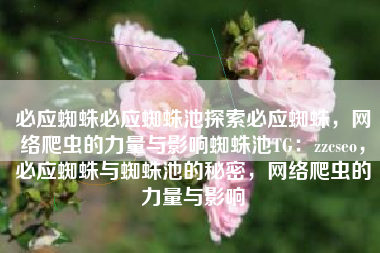 必应蜘蛛必应蜘蛛池探索必应蜘蛛，网络爬虫的力量与影响蜘蛛池TG：zzcseo，必应蜘蛛与蜘蛛池的秘密，网络爬虫的力量与影响