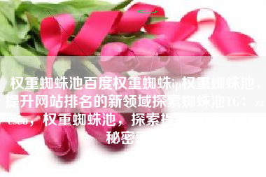 权重蜘蛛池百度权重蜘蛛ip权重蜘蛛池，提升网站排名的新领域探索蜘蛛池TG：zzcseo，权重蜘蛛池，探索提升网站排名的秘密武器