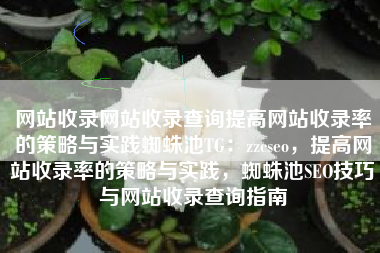 网站收录网站收录查询提高网站收录率的策略与实践蜘蛛池TG：zzcseo，提高网站收录率的策略与实践，蜘蛛池SEO技巧与网站收录查询指南
