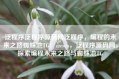 泛程序泛程序源码网泛程序，编程的未来之路蜘蛛池TG：zzcseo，泛程序源码网，探索编程未来之路与蜘蛛池TG